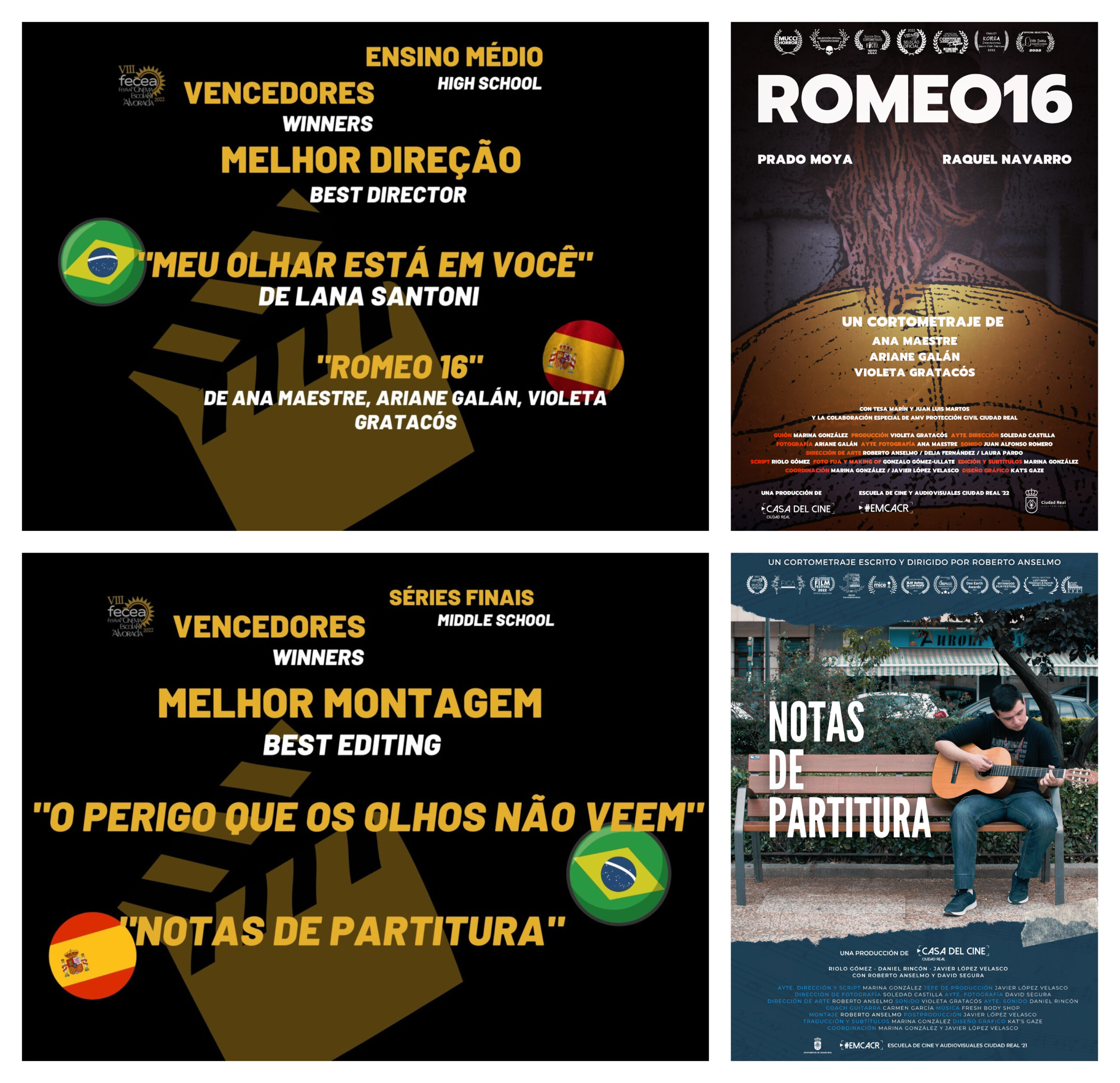 Premios y nominaciones en FECEA